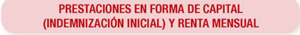 Seguro de Accidentes familiar